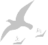 about_icon.gif